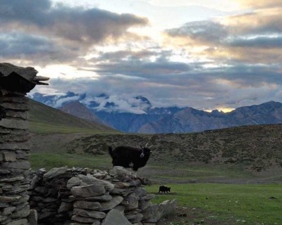 dolpo trek permit