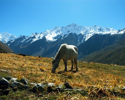 langtang-valley-trek