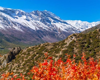 best Annapurna Circui in october