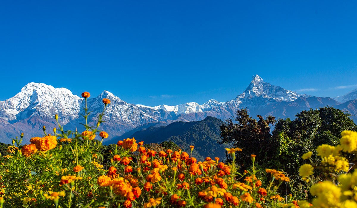 Best Time for Mardi Himal Trek