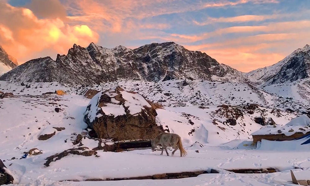 Everest Base Camp Trek in December winter