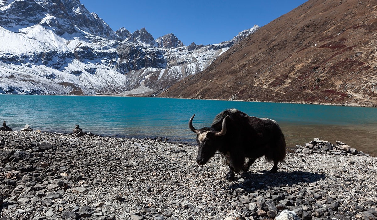 Gokyo Lake Trekking Return by Helicopter