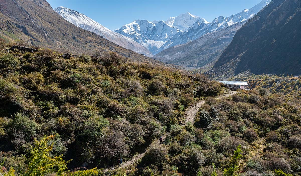 langtang trek in november.