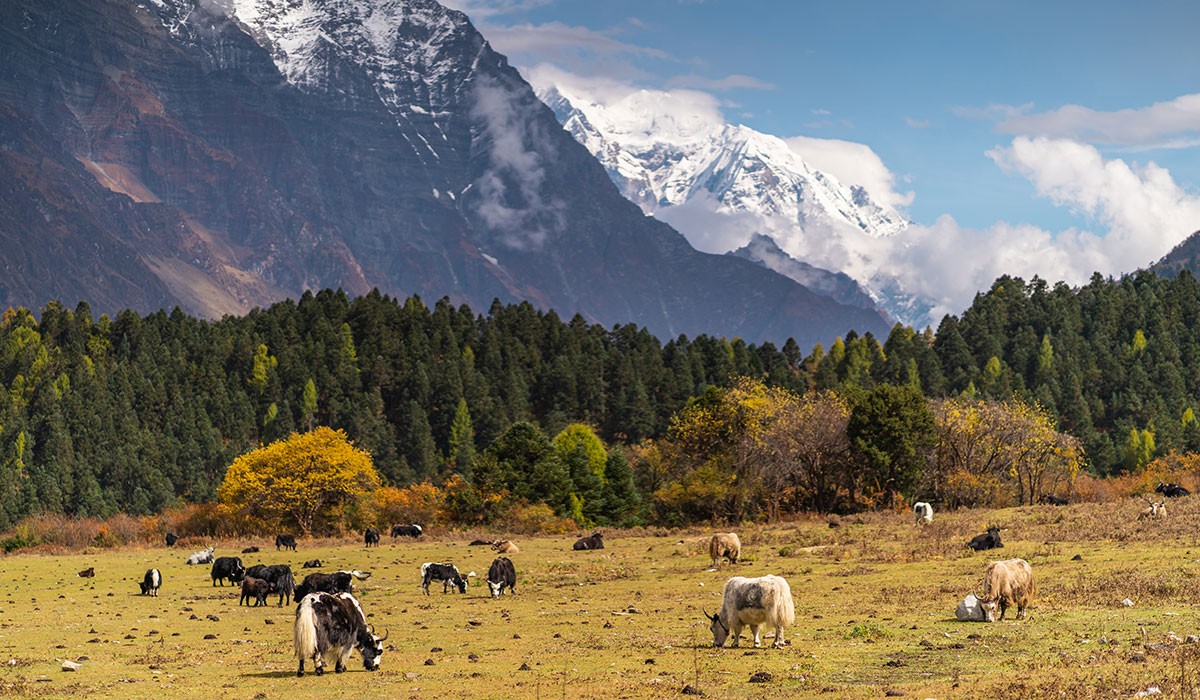 Off the Beaten Path Treks in Nepal featured