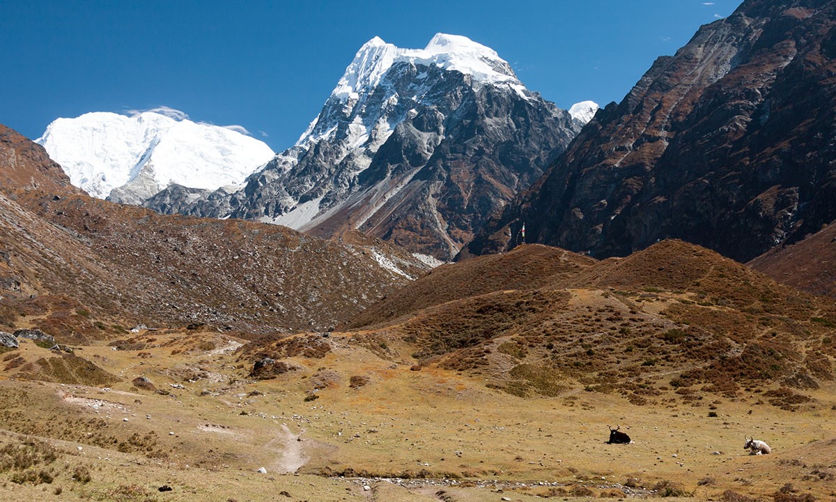 Trek-from-Kyanjin-Gompa-to-Lama-Hotel