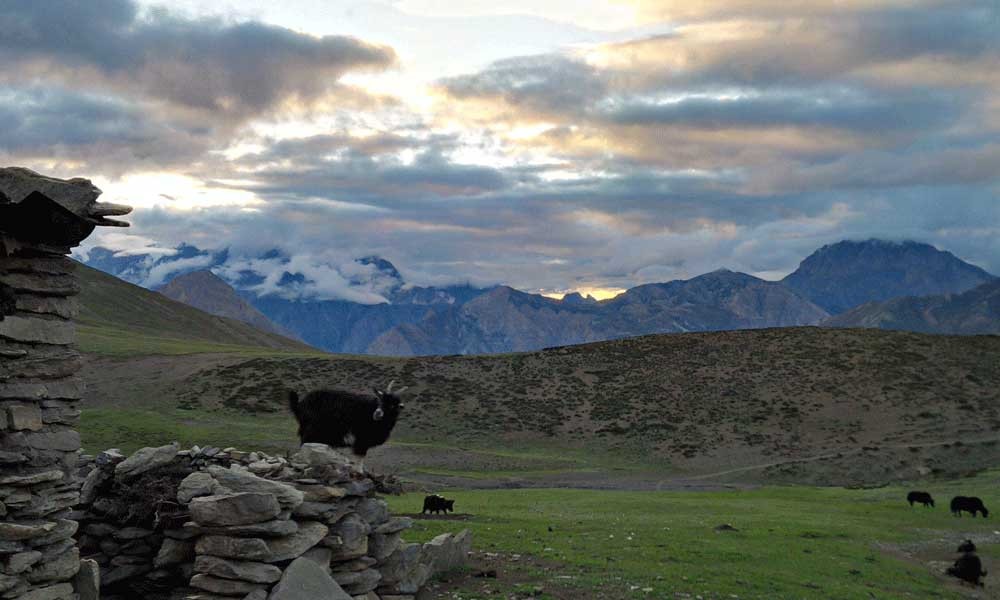 dolpo trek permit