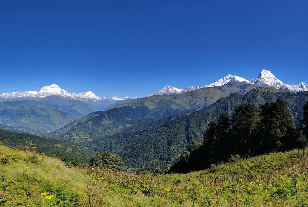 trekking in Nepal for bigginers