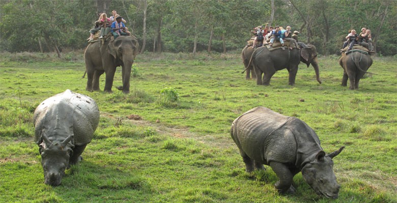 Chitwan-National-Park