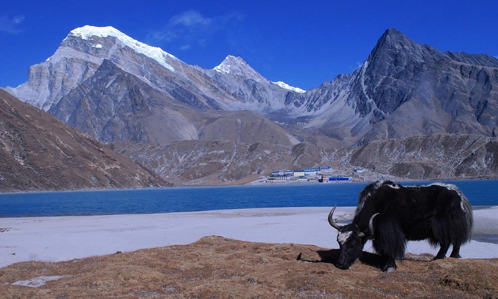 Gokyo Lake Trek Elevation