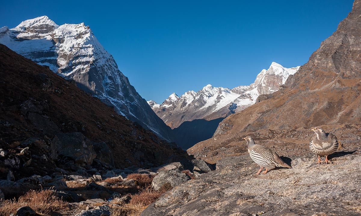 Altitude-sickness-while-traveling-to-the-Mera-Peak-Base-Camp