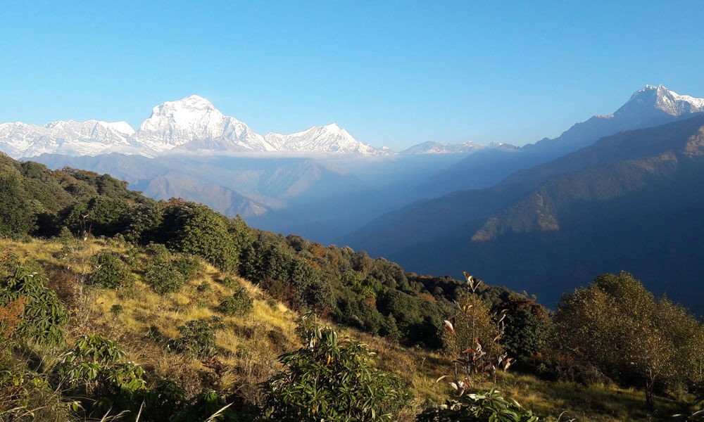 poonhill in november