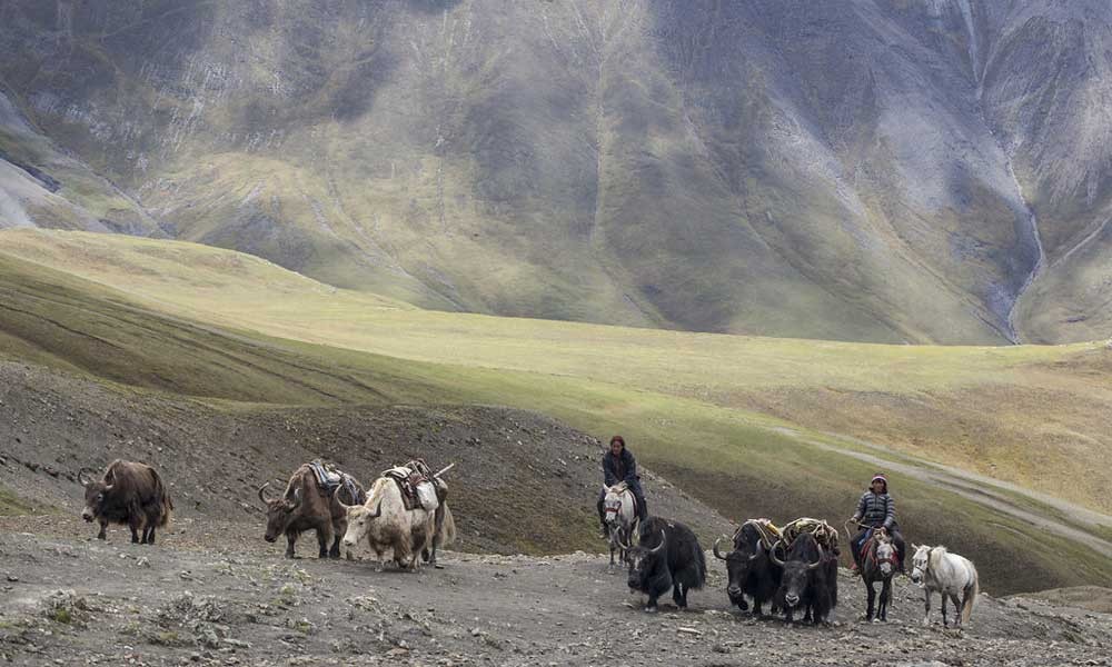 Upper dolpo to jomsom Trek