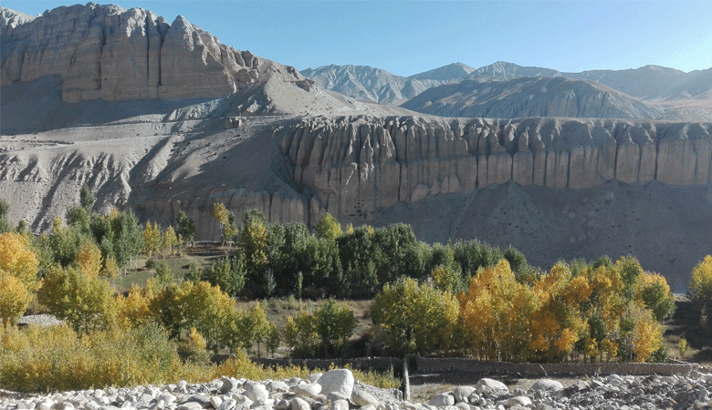 Upper-Mustang