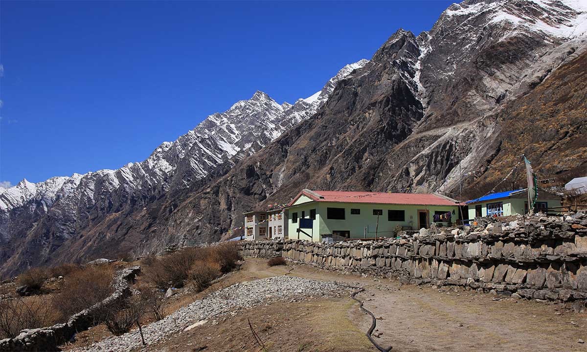 view down the langtang valley nepal 