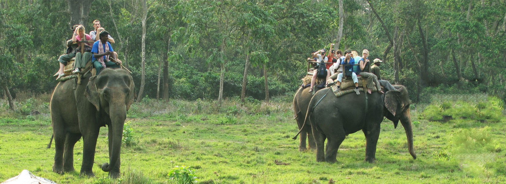 Chitwan Wildlife Tour