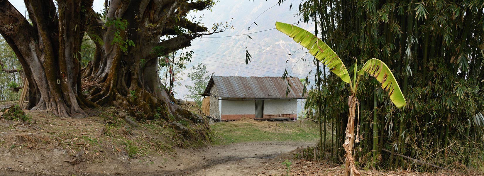 Kanchennunga region houses structure