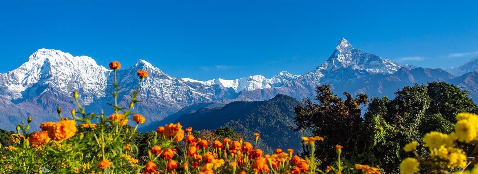 6 Days Mardi Himal Trek