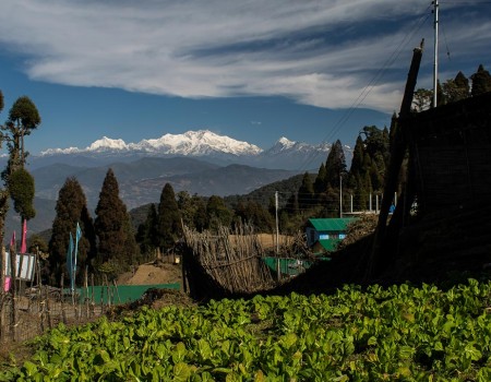 Kanchenjunga view from the local village