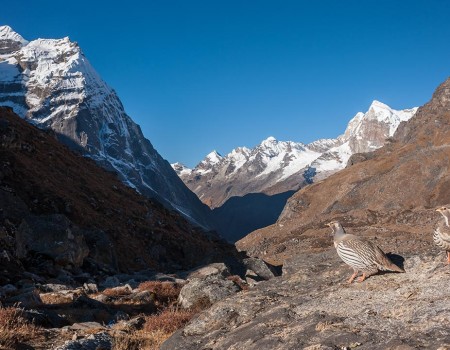 Mera Peak Climbing